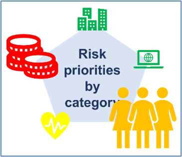 Risk priorities by category