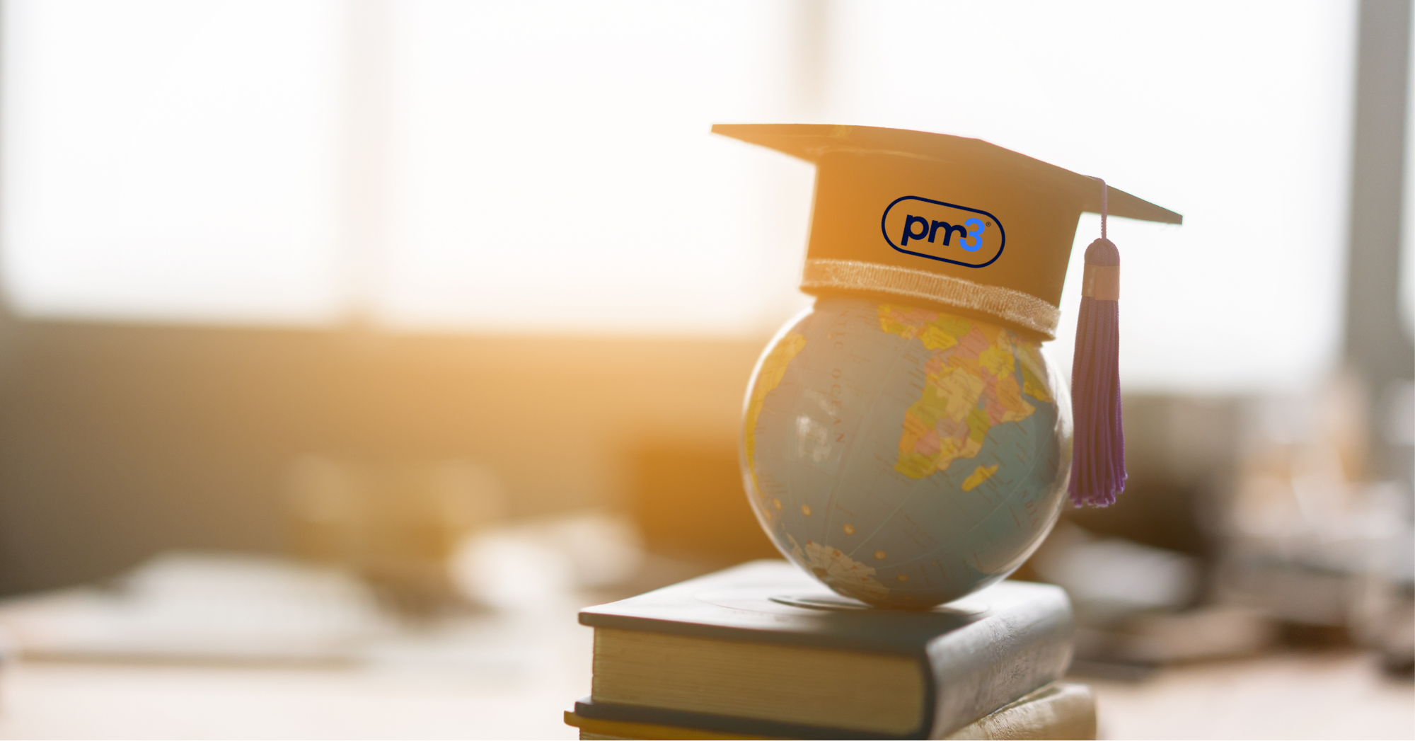 Built-In Learning with PM3Learn 