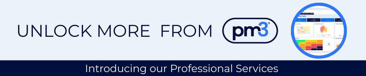 Introducing our Professional Services